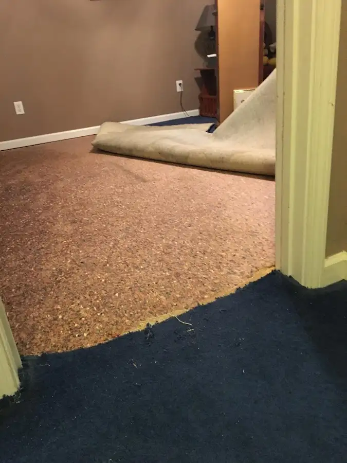 Carpet pad removal revealing water damage during Drying & Dehumidification in Newark