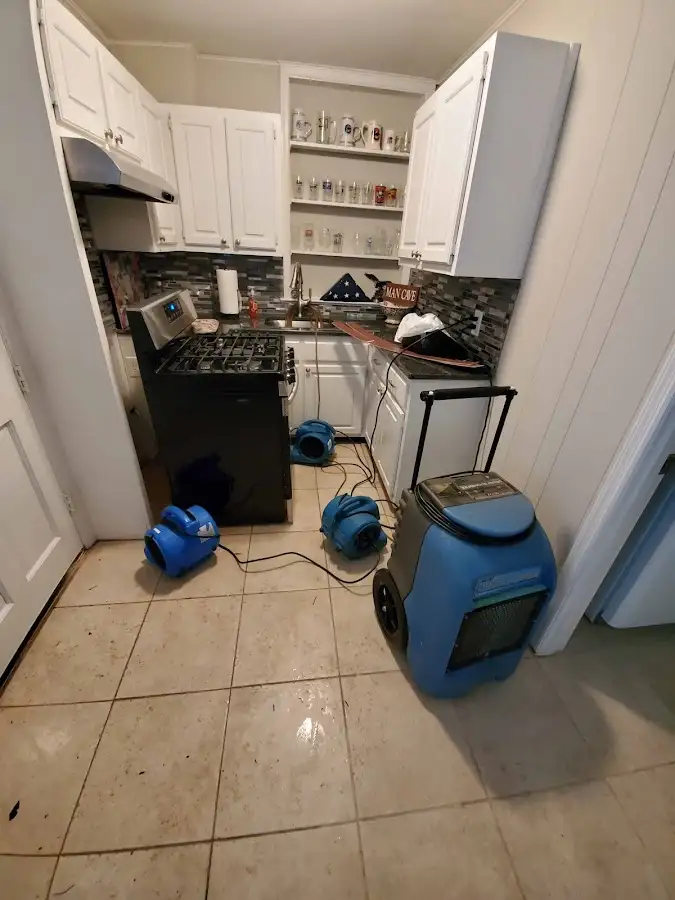 Water Damage Assessment in Newark, CA
